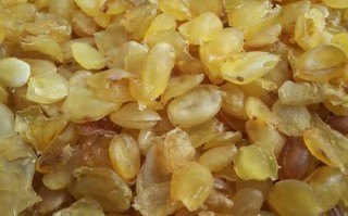 皂角米是哪里（皂角米是哪里的特产）