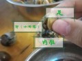 海螺吃哪里（田螺吃哪些部位）