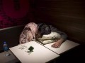 麦克风快餐店怎么样（麦难民什么意思）