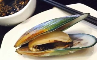 青口贝哪里可以吃,青口贝哪里的好吃正宗