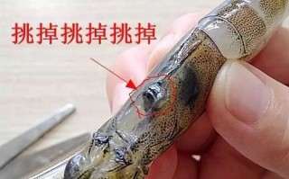 虾沙包在哪里（虾头沙包怎么取出）