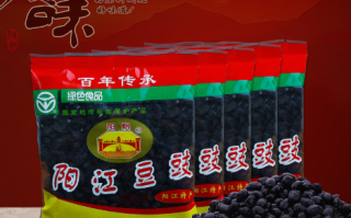 哪里出产的豆豉最好?或比较著名,广东豆豉哪里最好