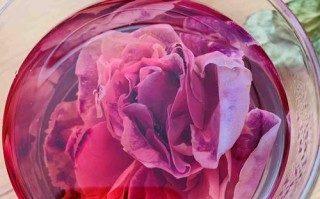 干玫瑰花哪里的好（干玫瑰花哪里的好喝）