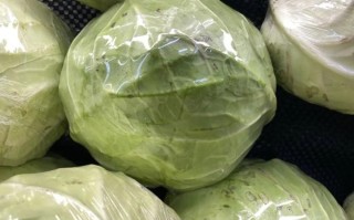 包菜 皮子 哪里买（包菜 皮子 哪里买的到）