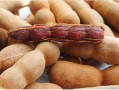 甜角出自哪里,甜角是哪里的特产