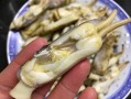 应该吃蛏子的哪里,蛏子吃哪里的肉