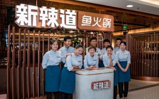 新辣道鱼火锅工作怎么样（新辣道鱼火锅简介）
