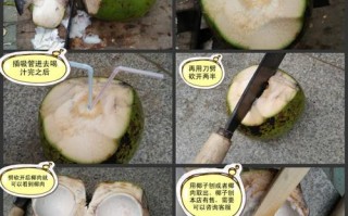 椰子里有肉吗,椰子的肉在哪里?