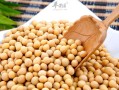 哪里大豆好（哪里大豆最好）