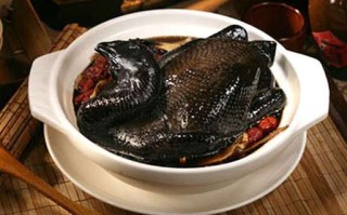 哪里炖乌骨鸡（哪里炖乌骨鸡好吃）