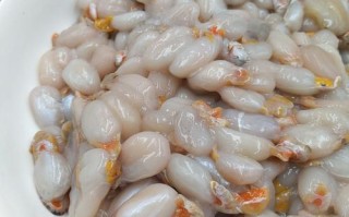 谁知道墨鱼蛋可以吃吗,吃墨鱼蛋哪里不能吃