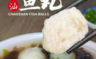 潮州大鱼丸是哪里的菜（潮州大鱼丸是哪里的菜系）