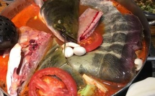 乌江鱼是哪里的（贵阳哪里有好吃的鱼，特别点的）