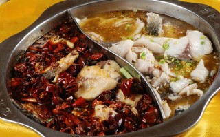 鱼还是鱼鱼火锅怎么样（鱼还是鱼火锅官网）