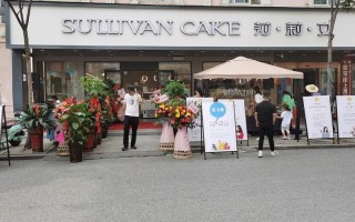 莎莉文蛋糕店怎么样（淮北市内有没有好一点的蛋糕店）