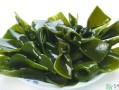 哪里的海带最好（我国的海带分为几级别）