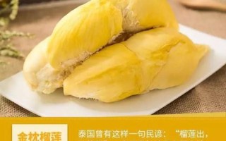 榴莲哪里的最好（榴莲哪里的最好吃）