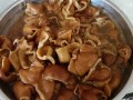 肥肠从哪里买（肥肠从哪里买便宜）