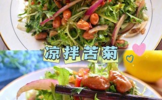 适合呼市人的凉菜，好吃，卖的快的凉菜给推荐几道凉菜,凉菜哪里的好吃啊
