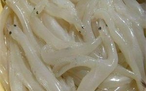 银鱼哪里好（银鱼的产地是哪里）