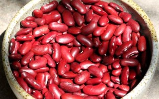 红芸豆哪里好（红芸豆哪里好吃）