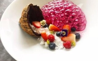 广州哪里有分子料理（分子料理什么时候出现）