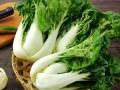 奶油白菜是转基因吗,奶油白菜是哪里的菜系图片