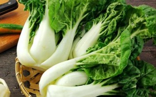奶油白菜是转基因吗,奶油白菜是哪里的菜系图片