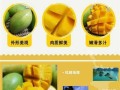 青芒果哪里买（青芒果怎么储藏）