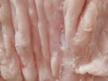 板油是哪里的油（板油是什么地方的）