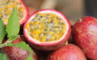 百香果哪里的好吃（百香果哪里的品种最好吃）