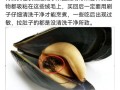 青口的内脏在哪里（青口要去除内脏吗）