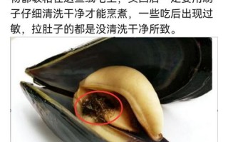 青口的内脏在哪里（青口要去除内脏吗）