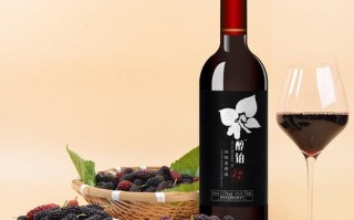 哪里有卖桑葚酒的（桑葚酒多少钱一瓶）
