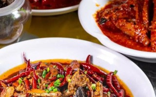 宁乡口味蛇哪里好吃（宁乡口味蛇哪里好吃点）