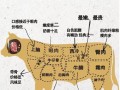 牛哪里最营养（牛的哪个部位最有营养）