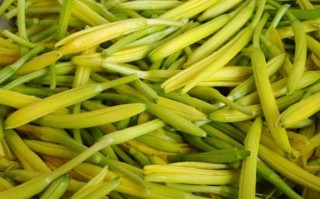 鲜黄花菜哪里不能吃（为什么黄花菜开花之后就有毒了,不能吃了,毒从哪来）