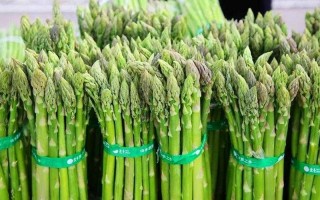 芦笋什么地方长得最好,芦笋哪里最好吃
