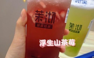 茉沏奶茶怎么样（茉沏山楂洛神赋好喝吗）