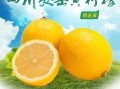 柠檬是哪里的特产（全国三大柠檬产地是哪里）