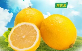 柠檬是哪里的特产（全国三大柠檬产地是哪里）
