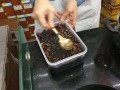 哪里熬阿胶（哪里能熬阿胶）