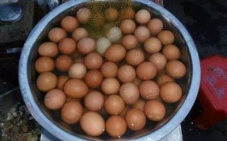 南京活珠子在哪里能吃到,南京哪里有活珠子批发市场