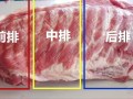 猪排骨位于哪里（排骨最好的位置是哪里）