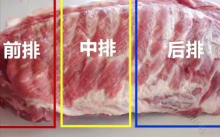猪排骨位于哪里（排骨最好的位置是哪里）
