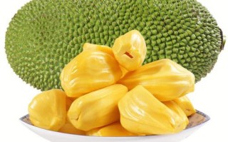 菠萝蜜是进口的吗,菠萝蜜是哪里的水果图片