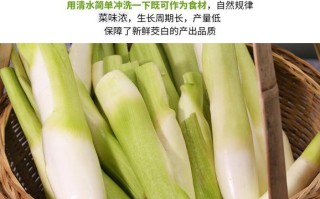 哪里茭白最好（福建茭白产地）