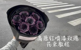 子酱在哪里（乌梅子酱花束怎么喷）