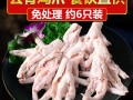 买的生无骨鸡爪好吗,生鸡爪哪里买安全