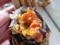 螃蟹的粪便在哪里（吃螃蟹时，怎样分辨哪里是螃蟹屎，哪里是螃蟹黄）
